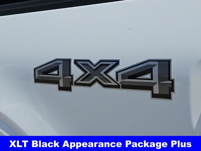 2025 Ford F-150 XLT photo 8