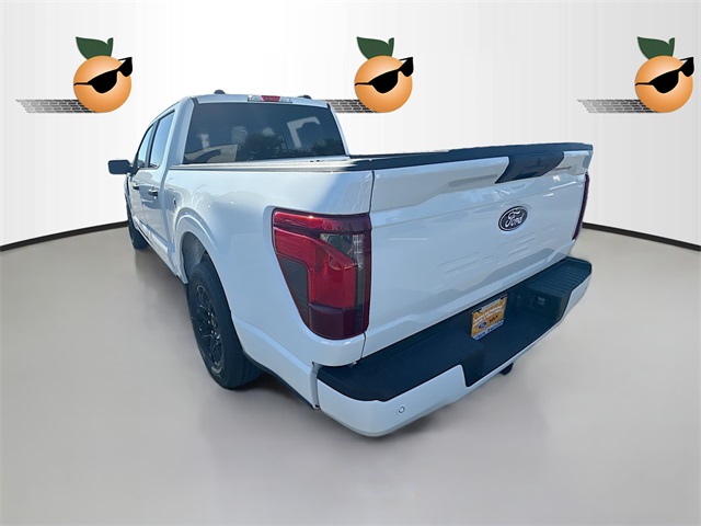 2025 Ford F-150 STX photo 3