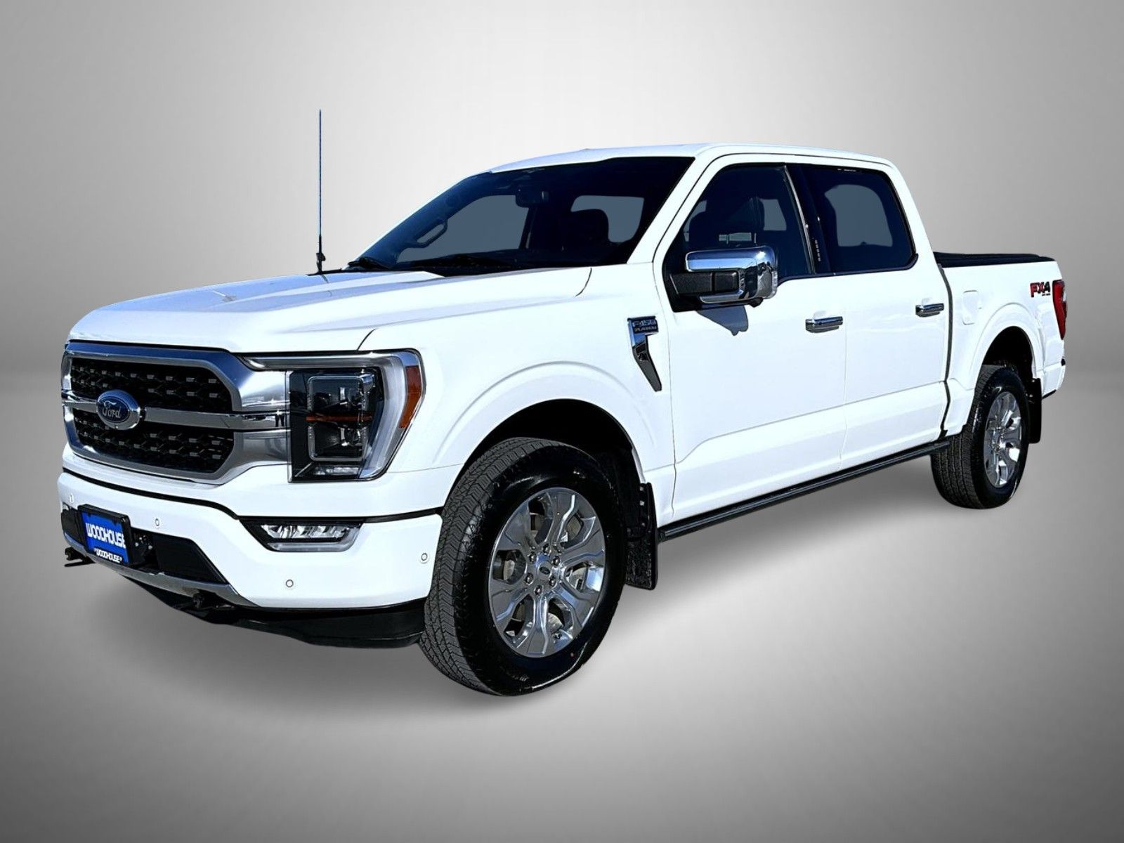 2023 Ford F-150 Platinum's photo
