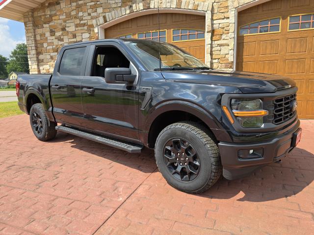 2025 Ford F-150 STX's photo
