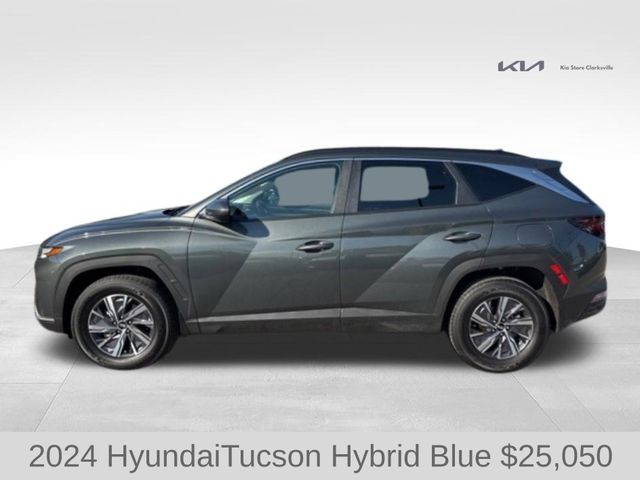 2024 Hyundai Tucson Hybrid Blue photo 4