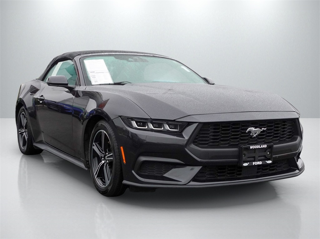 2024 Ford Mustang EcoBoost Premium's photo