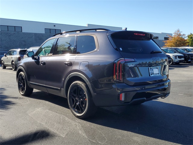 2025 Kia Telluride EX X-Line photo 4