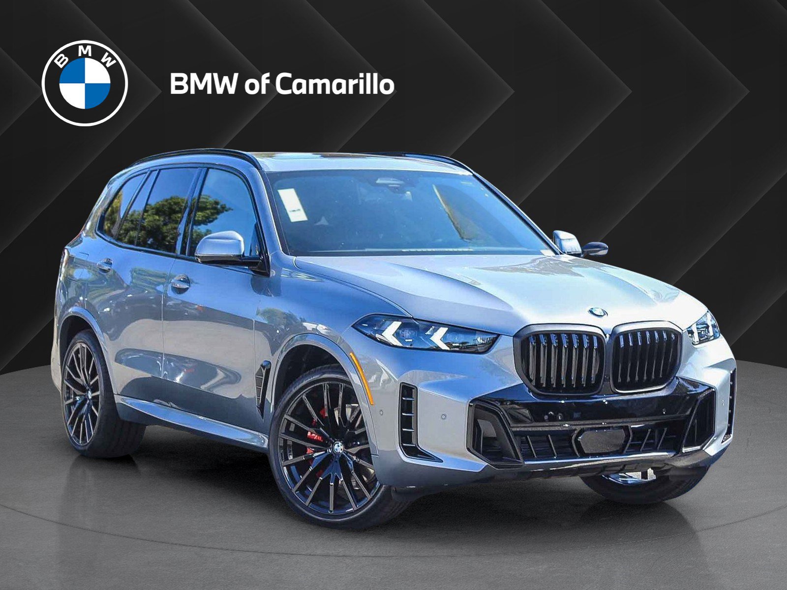 2026 BMW X5 40i's photo