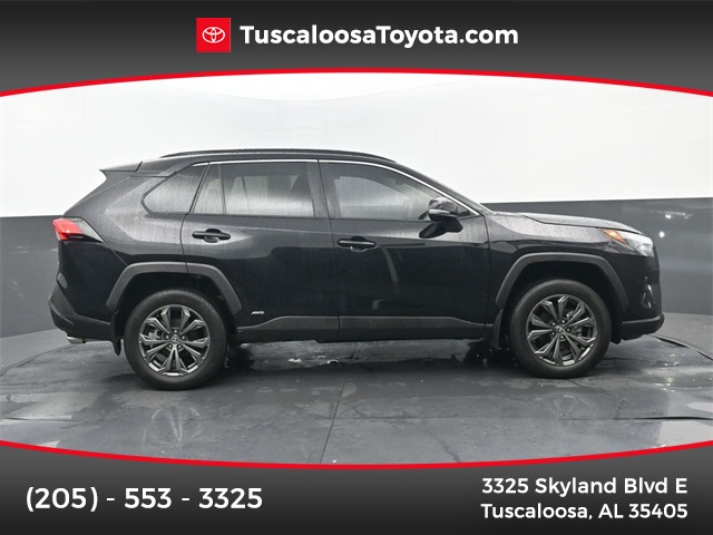 2025 Toyota RAV4 XLE Premium's photo