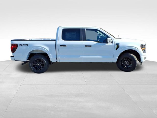 2025 Ford F-150 STX photo 8