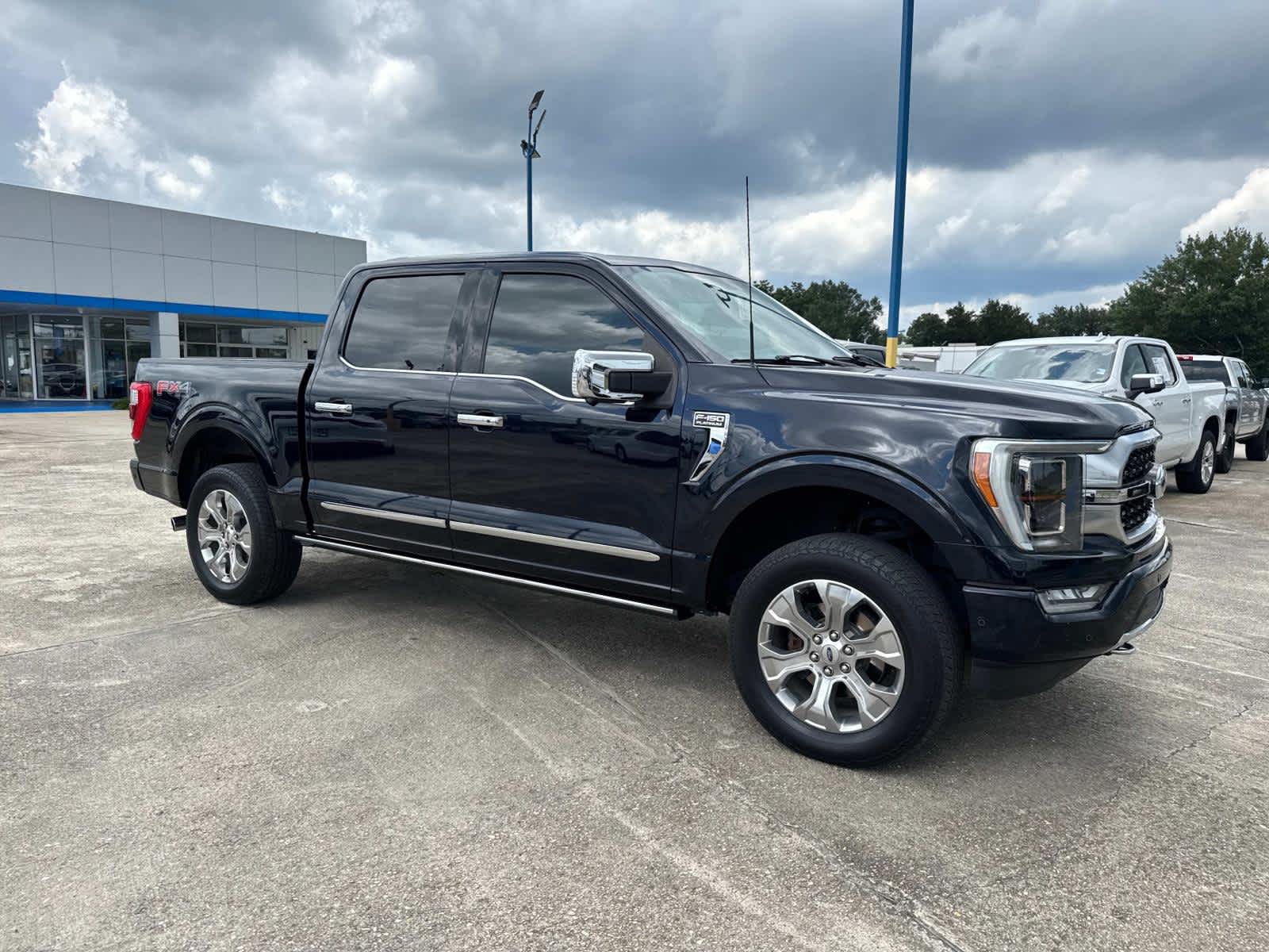 2021 Ford F-150 Platinum photo 6