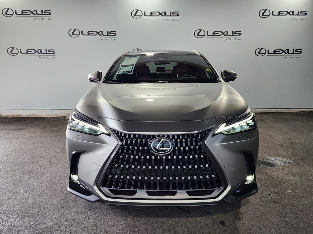 2025 Lexus NX 350h Premium photo 2