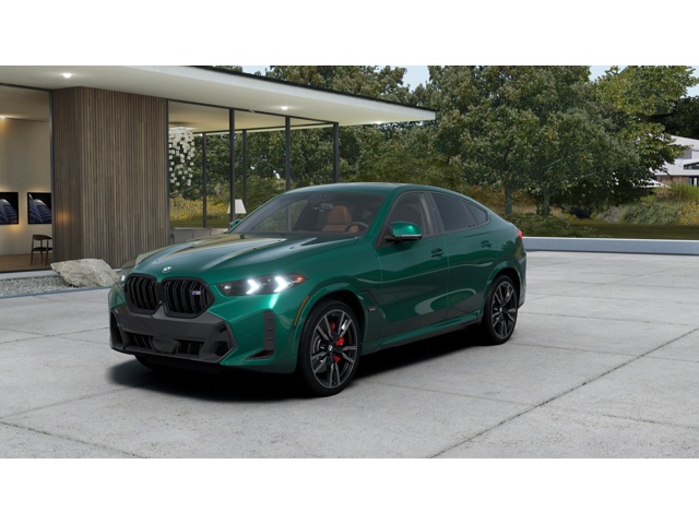 2026 BMW X6 M60i's photo