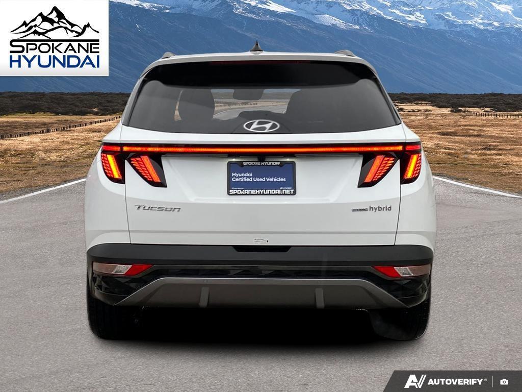 2024 Hyundai Tucson Hybrid Limited Sport photo 3