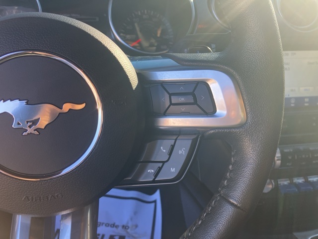 2020 Ford Mustang EcoBoost photo 20