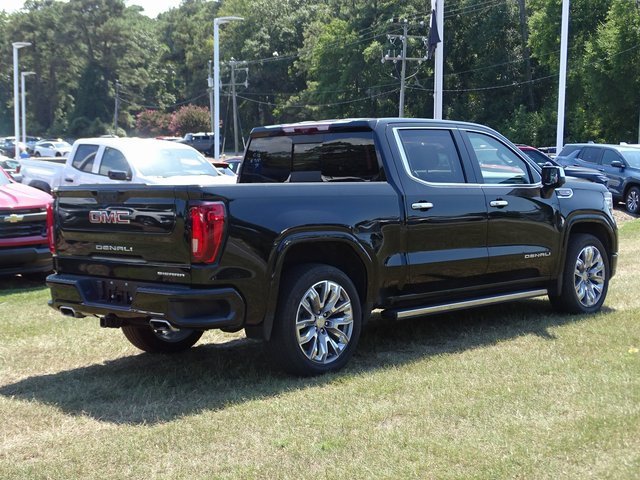 2024 Gmc Sierra 1500 Denali photo 5