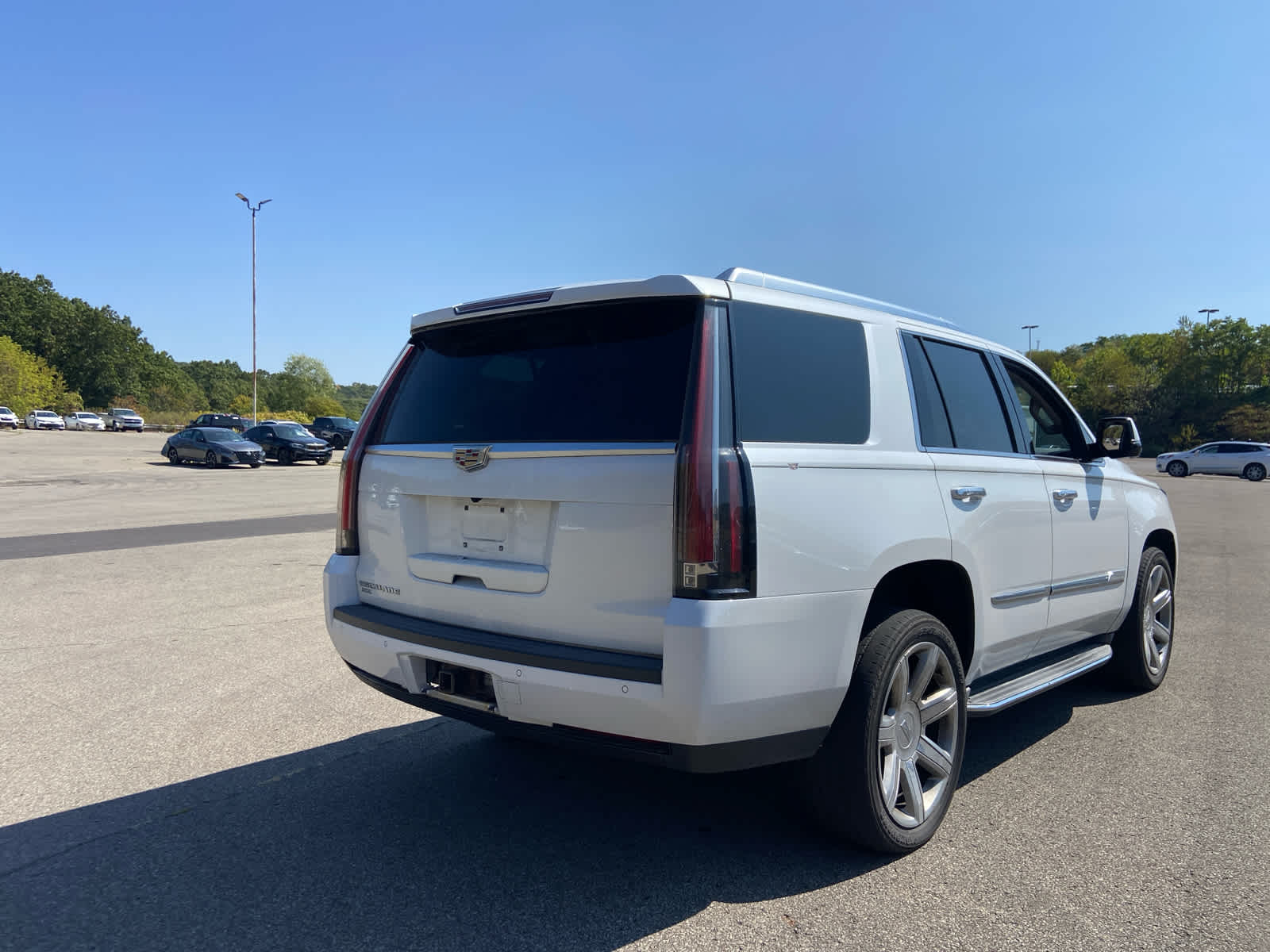 2016 Cadillac Escalade Luxury photo 2