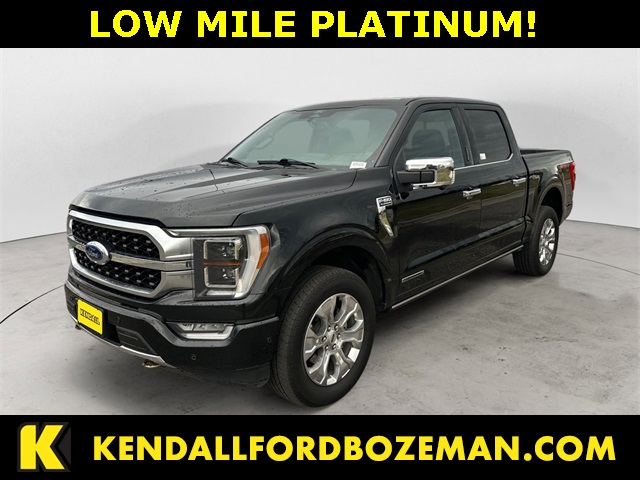 2022 Ford F-150 Platinum's photo