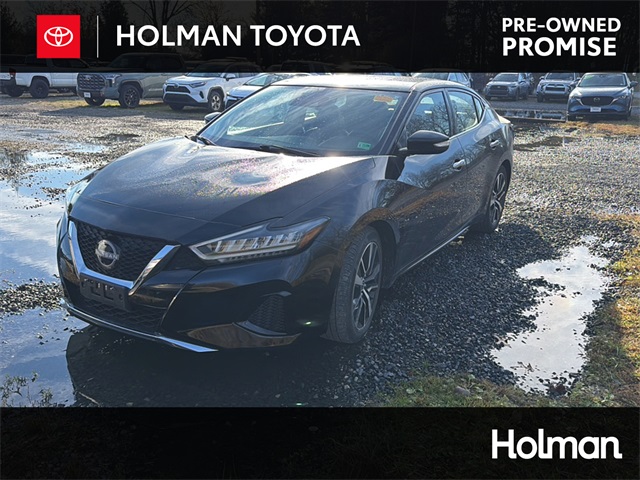 2023 Nissan Maxima SV's photo