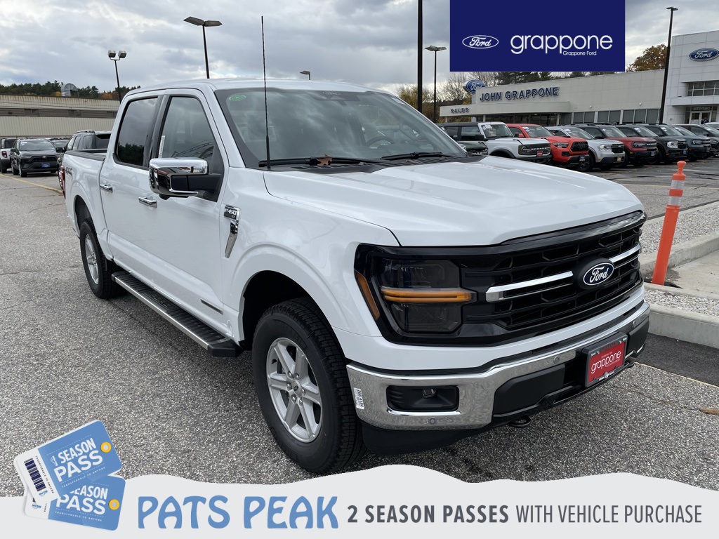 2025 Ford F-150 XLT's photo