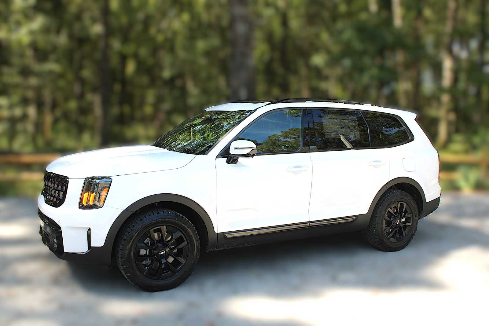 2025 Kia Telluride SX X-Line photo 3
