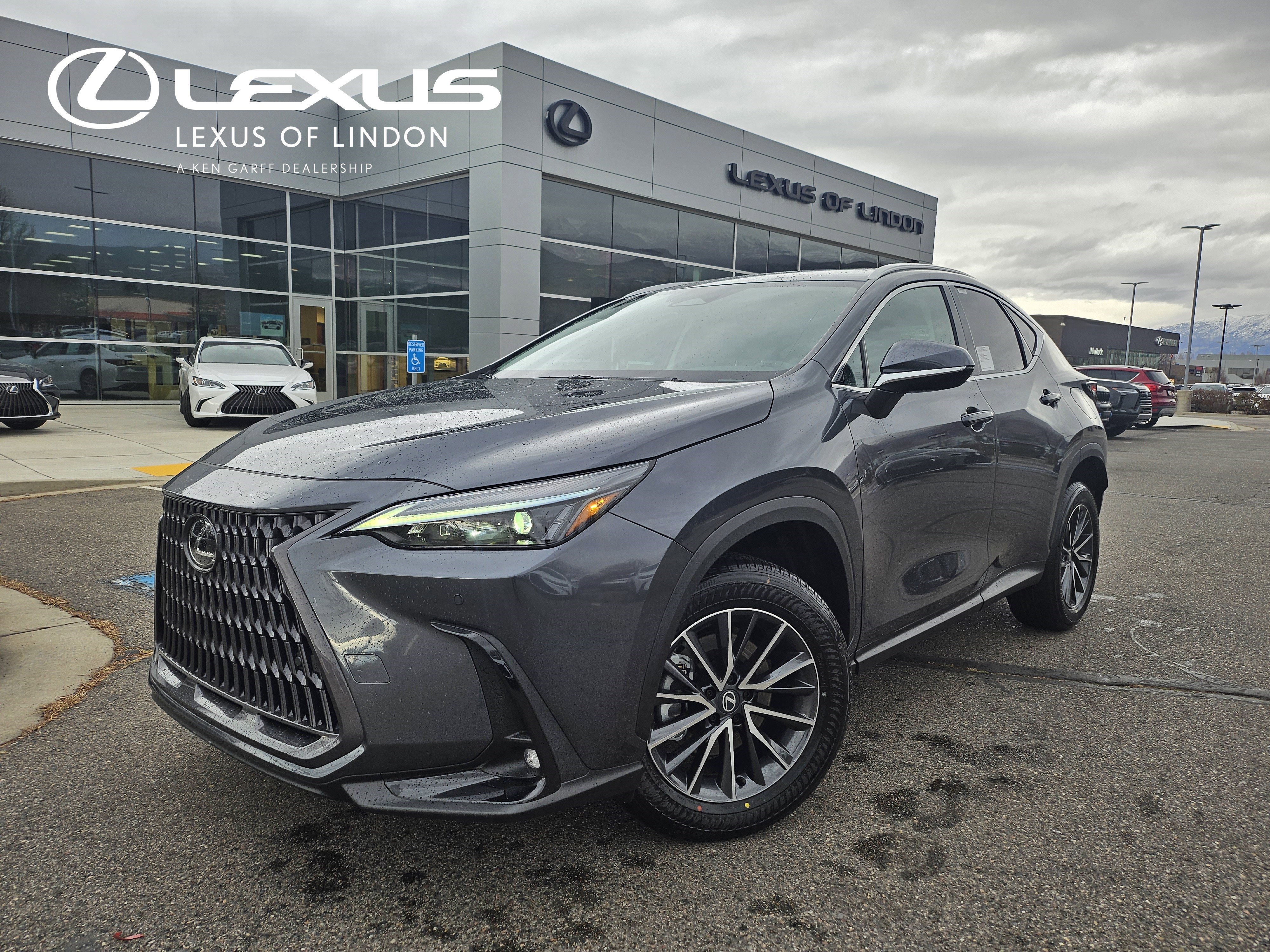 2026 Lexus NX 350's photo
