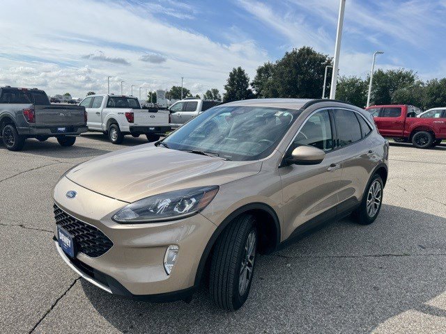 2021 Ford Escape SEL Hybrid photo 3