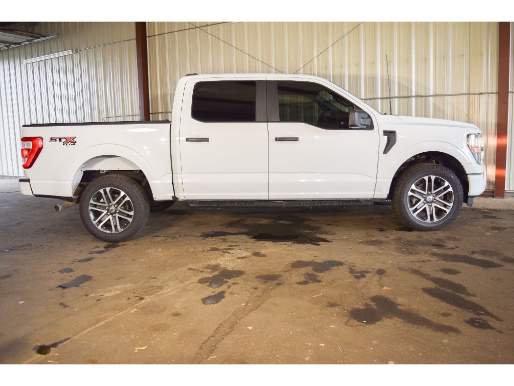 2023 Ford F-150 XL photo 5