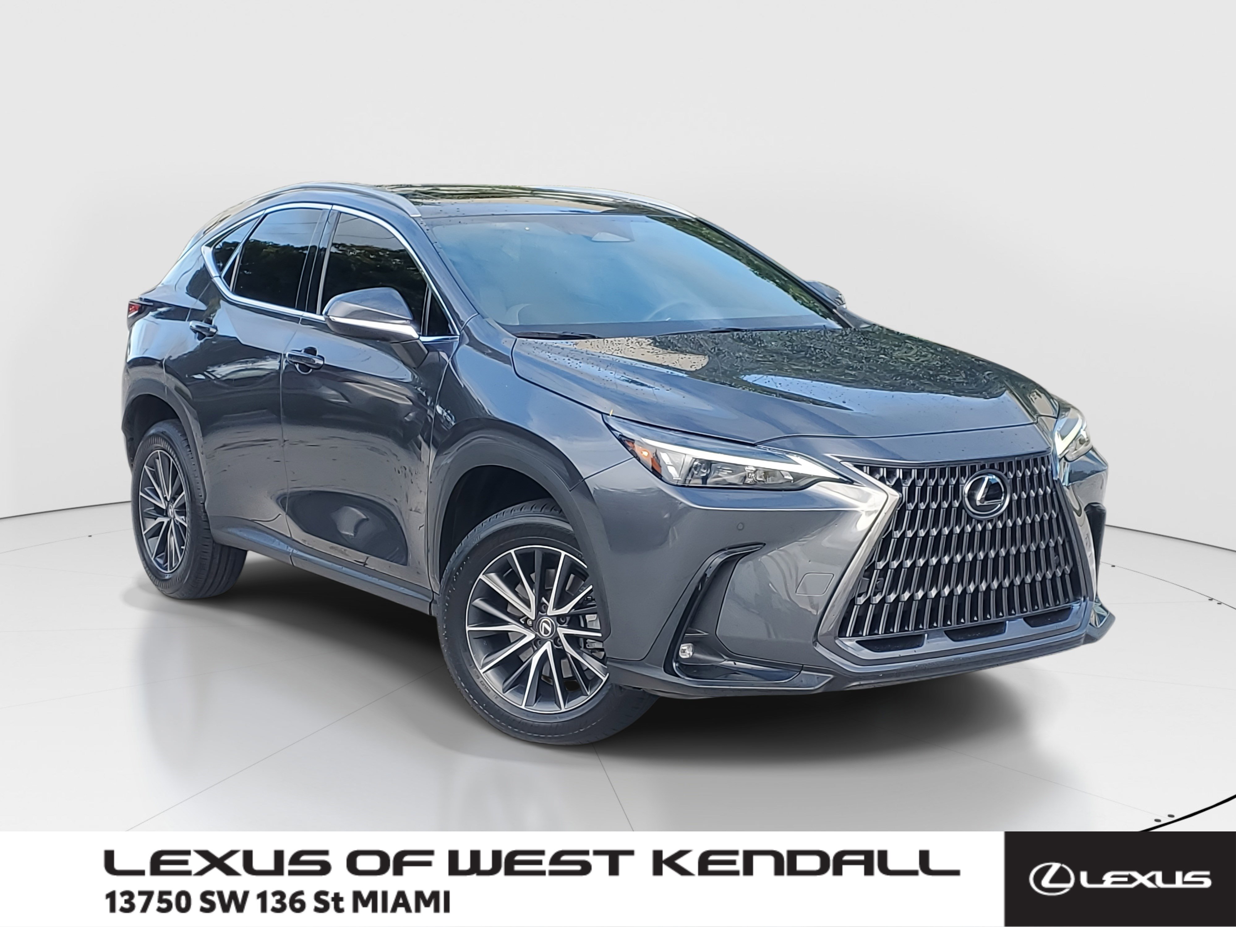 2023 Lexus NX 350's photo