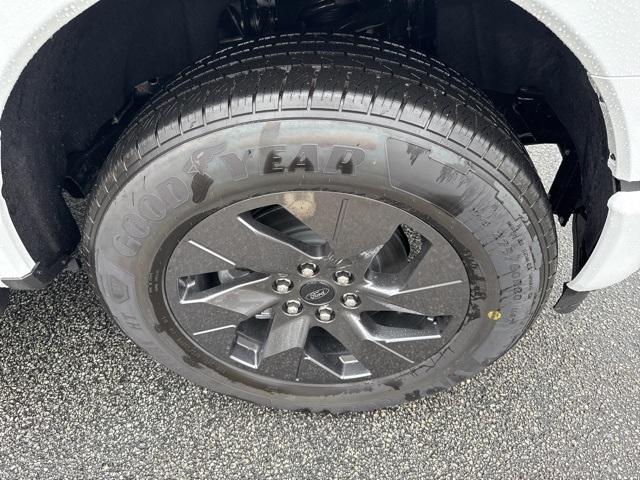 2025 Ford F-150 Lightning photo 14