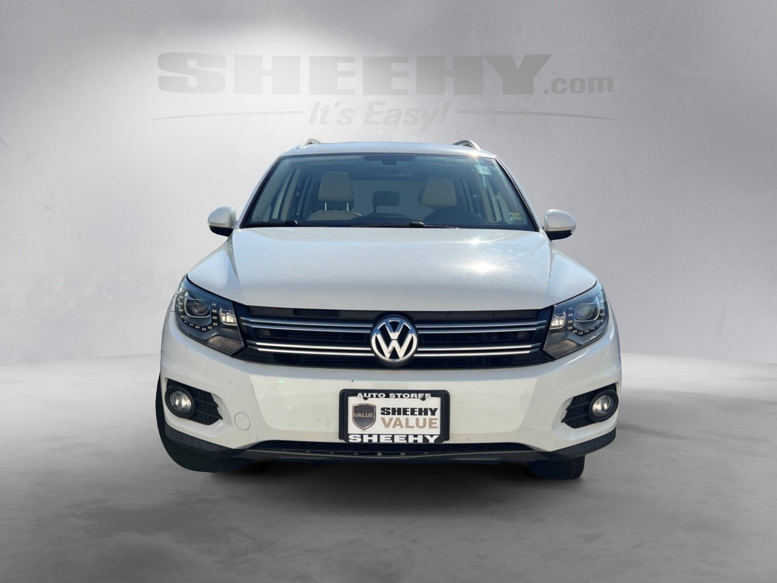 WVGAV7AX2GW550393