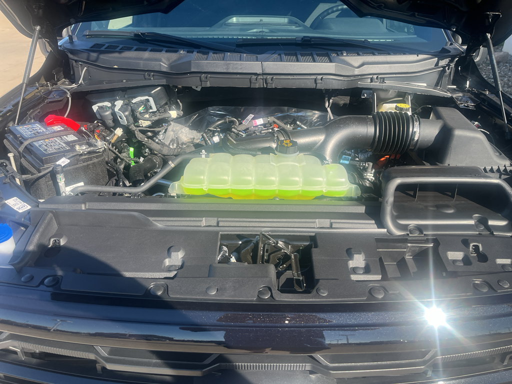 2025 Ford F-150 XLT photo 8