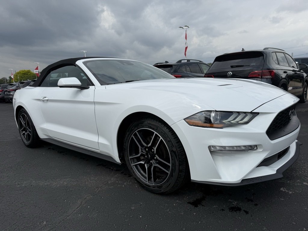 2023 Ford Mustang EcoBoost Premium photo 2