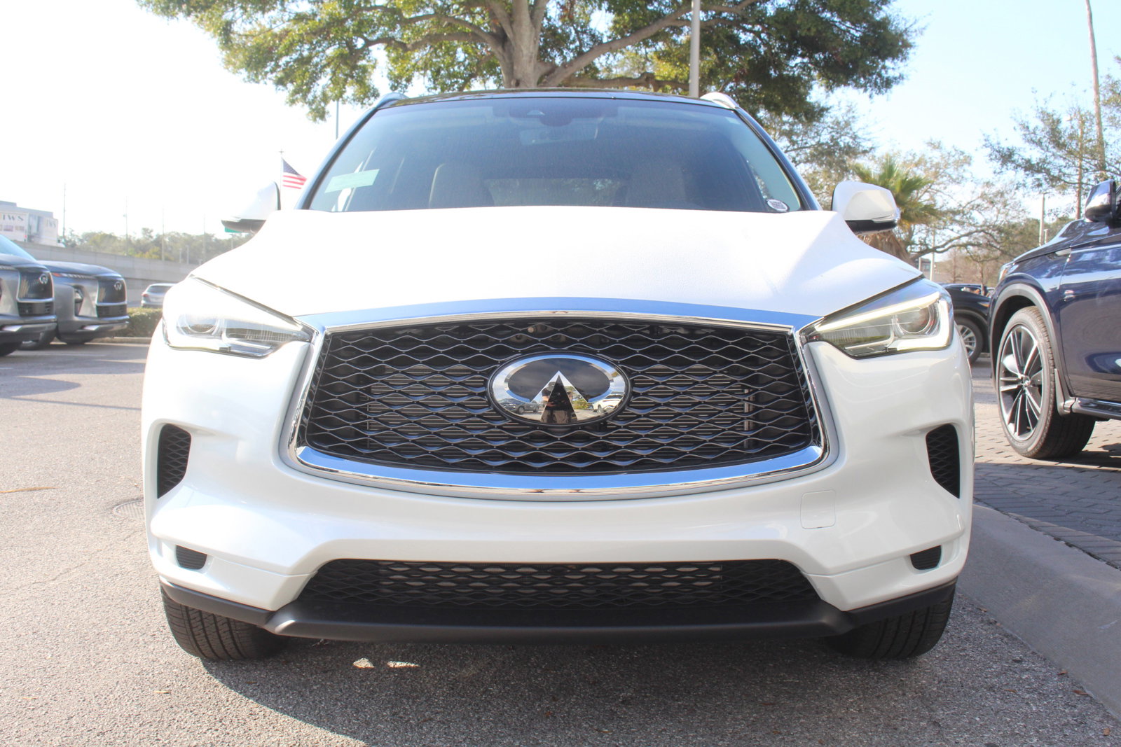 2025 Infiniti QX50 Luxe photo 9