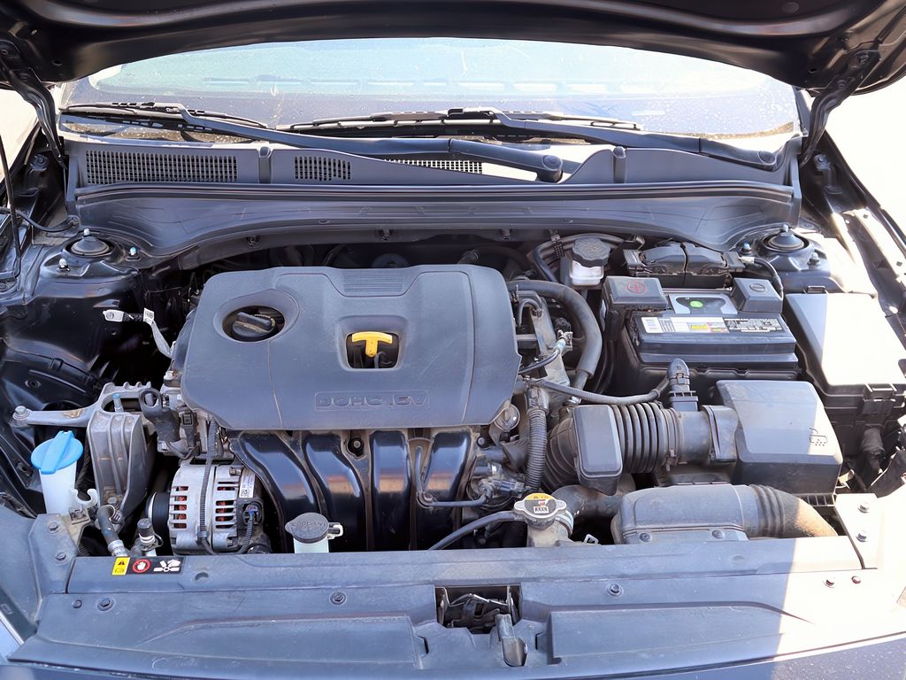 2019 Kia Forte LXS photo 30