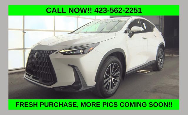 2025 Lexus NX 250's photo