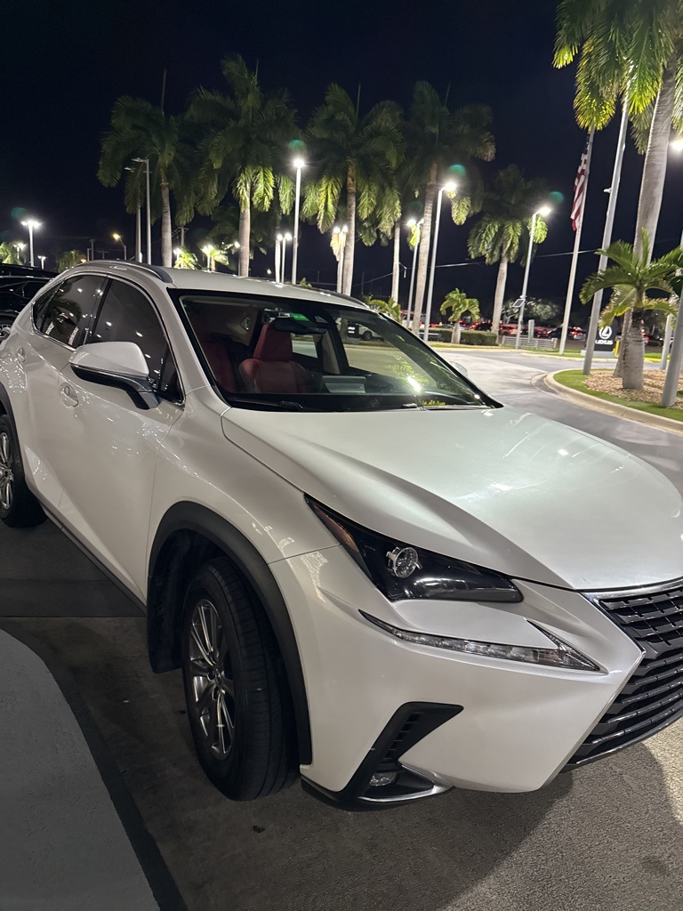 2021 Lexus NX 300's photo
