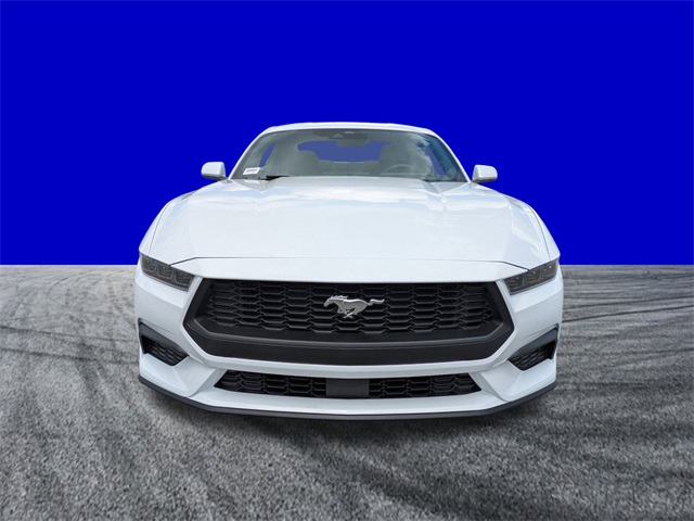 2025 Ford Mustang EcoBoost photo 9