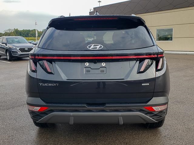 2023 Hyundai Tucson Limited photo 5