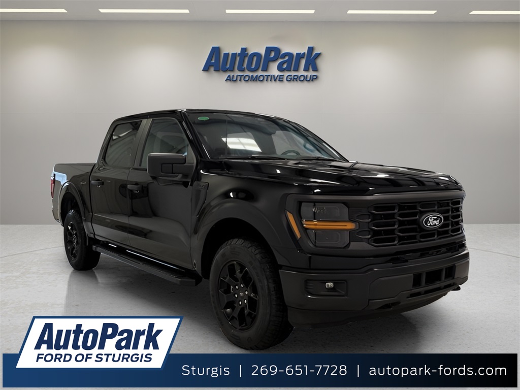 2025 Ford F-150 STX's photo