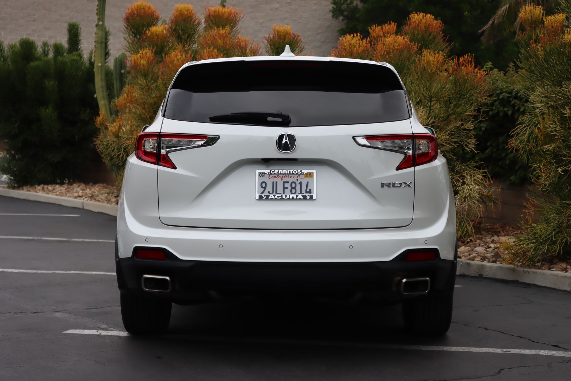 2023 Acura RDX Technology photo 4