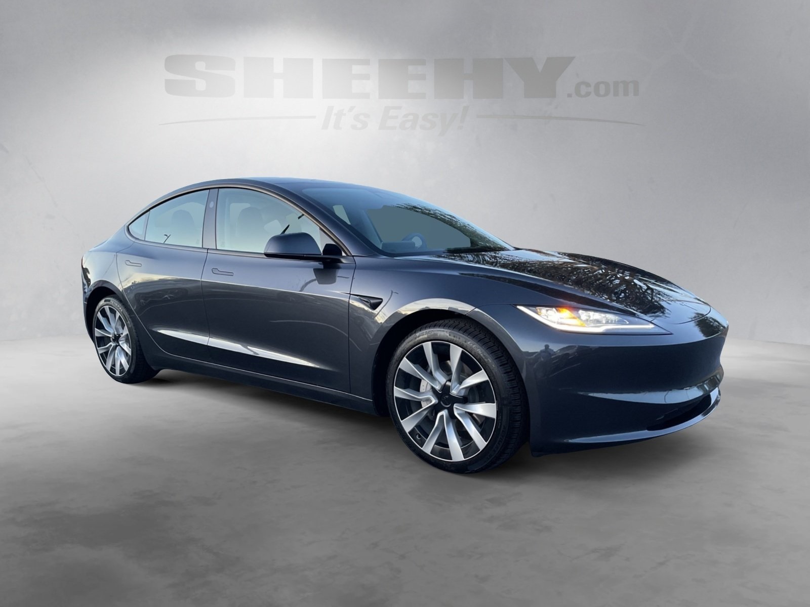 2024 Tesla Model 3 photo 2