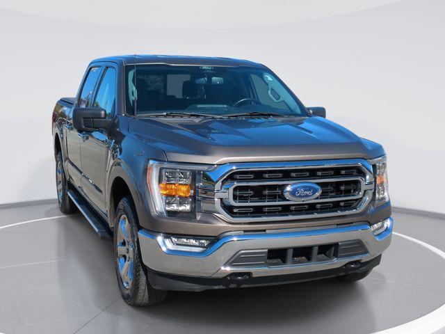 2022 Ford F-150 XLT's photo