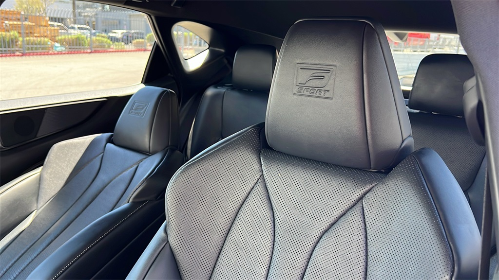 2025 Lexus NX F SPORT Handling photo 18