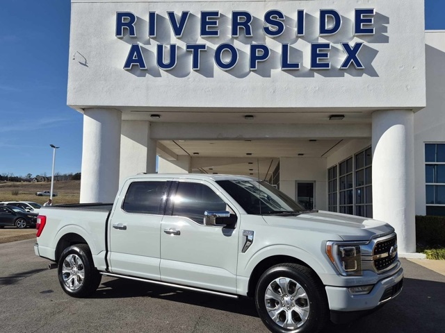 2023 Ford F-150 Platinum's photo