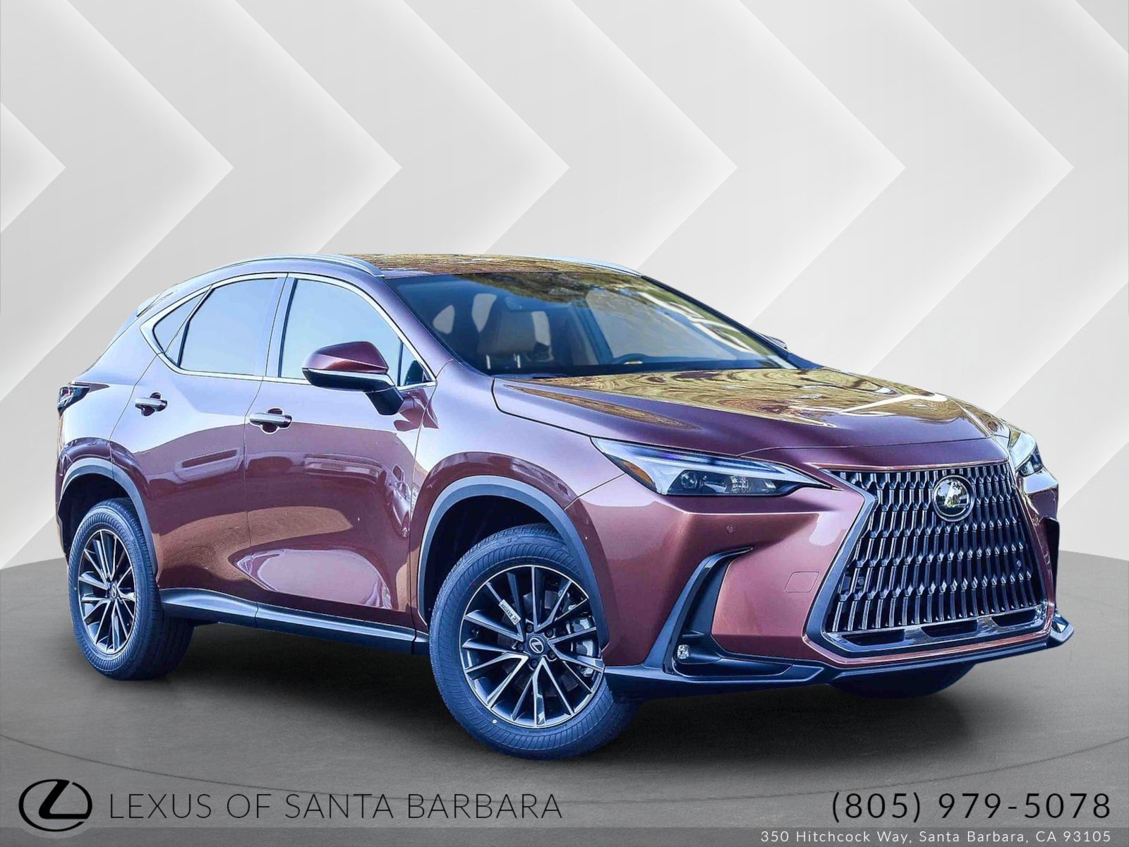 2026 Lexus NX 350's photo