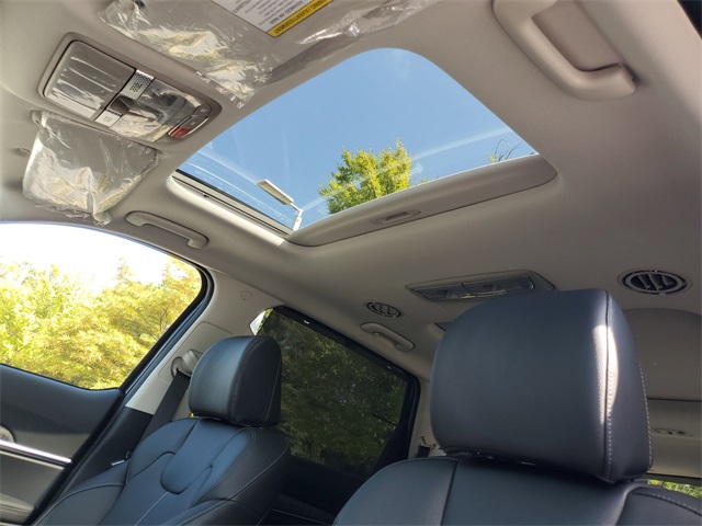 2025 Kia Telluride SX photo 14