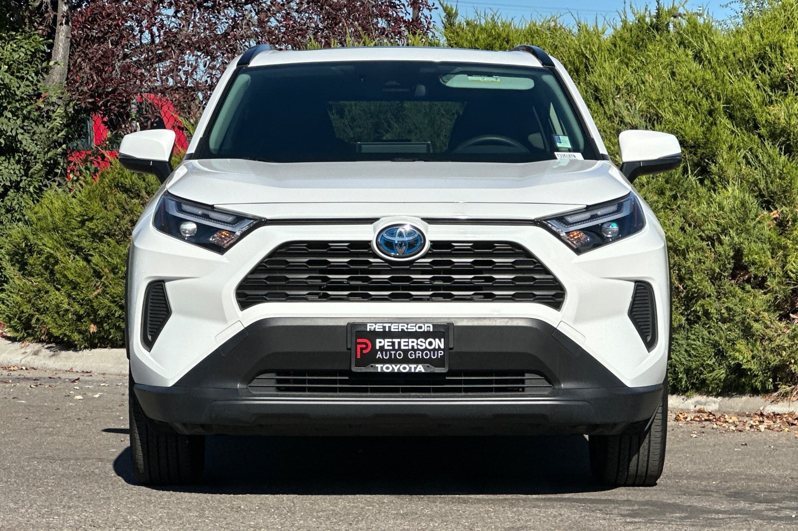 2023 Toyota RAV4 Hybrid XLE photo 9