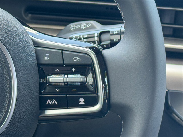 2026 Kia Carnival SX Prestige photo 31