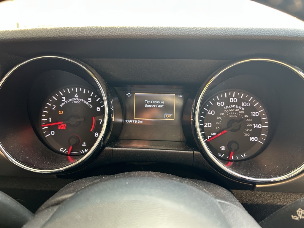 2015 Ford Mustang GT 50th Anniversary Edition photo 7