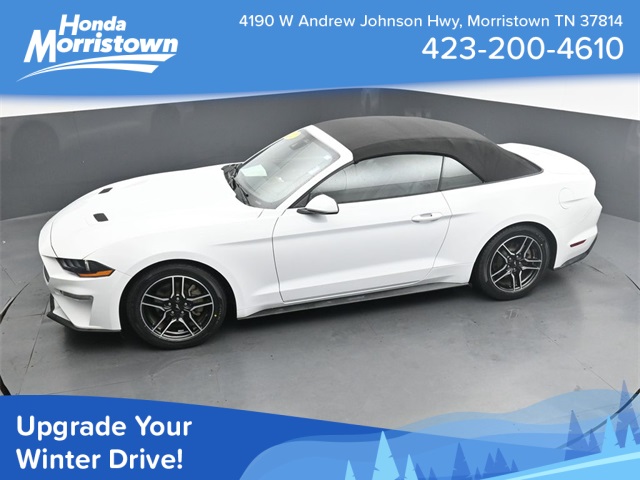 2022 Ford Mustang EcoBoost Premium's photo