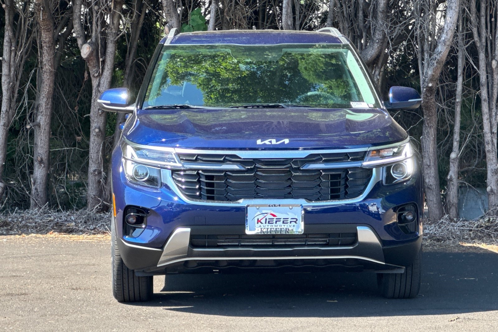 2026 Kia Seltos EX photo 5