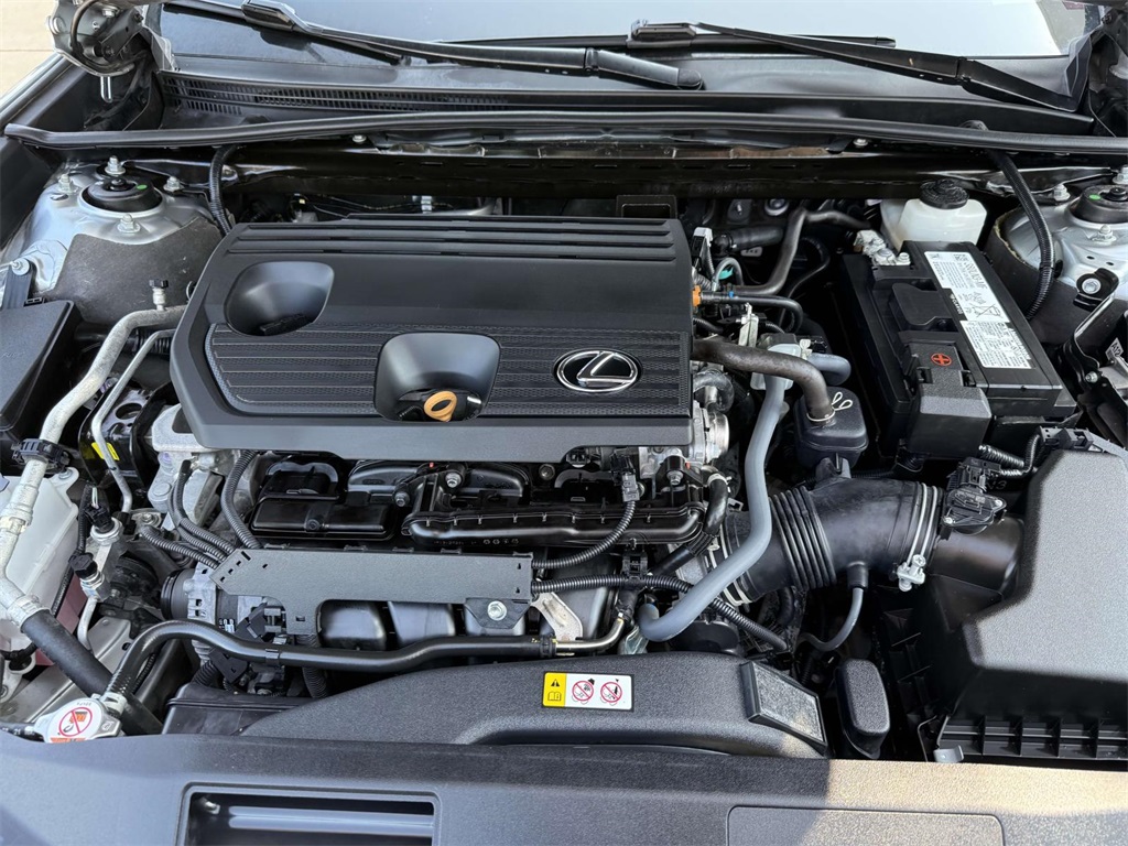 2022 Lexus ES 250 photo 13