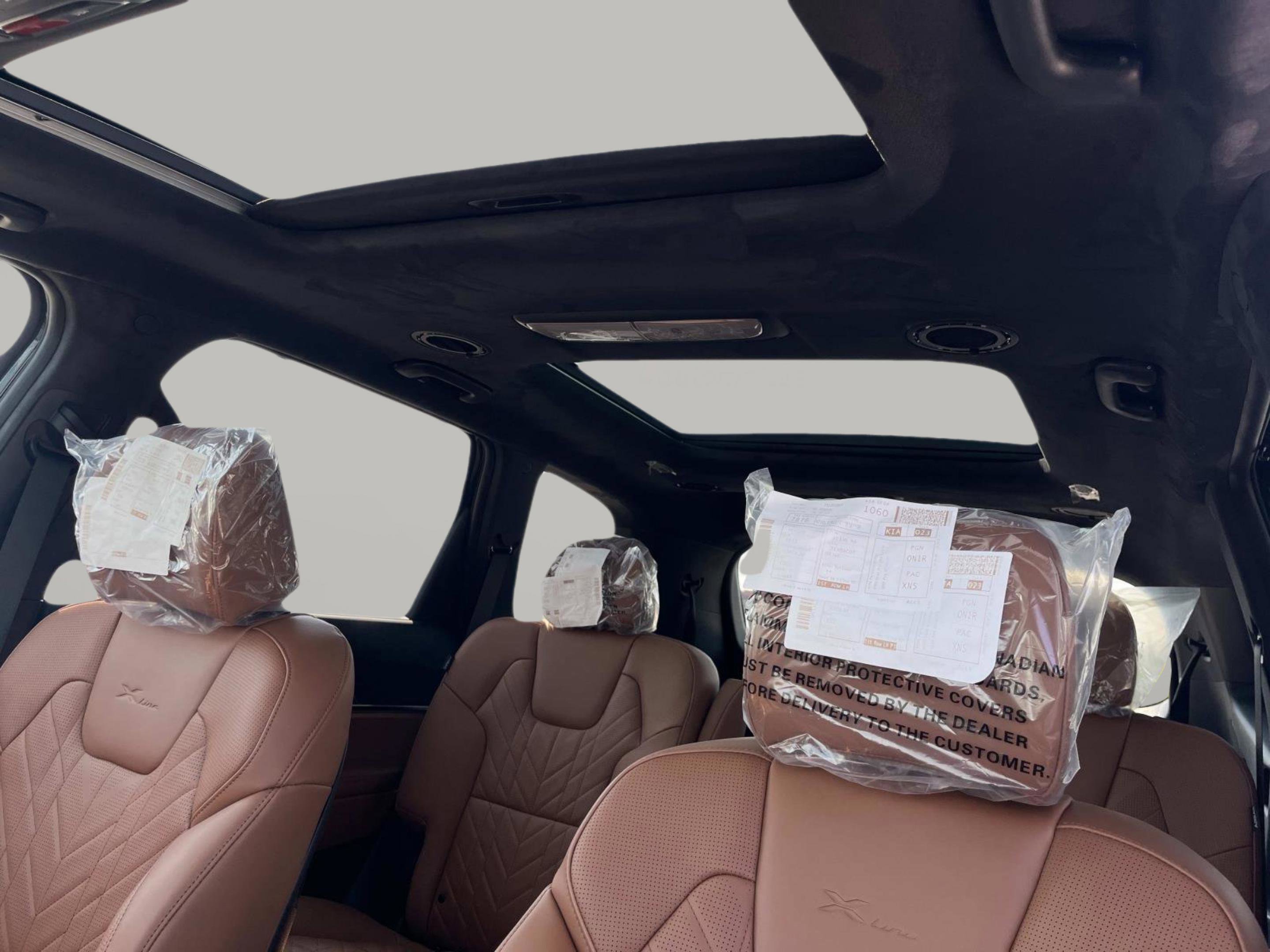2025 Kia Telluride SX Prestige X-Line photo 26